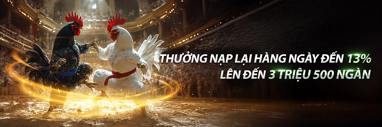 Đá gà trực tuyến s666 - s666 trang chủ chính thức