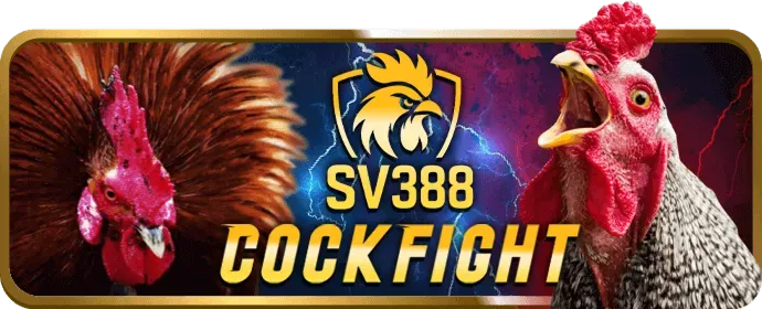 Công cụ bảo vệ người chơi